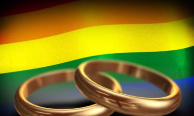 Камарата бави законопроекта в защита на еднополовите бракове