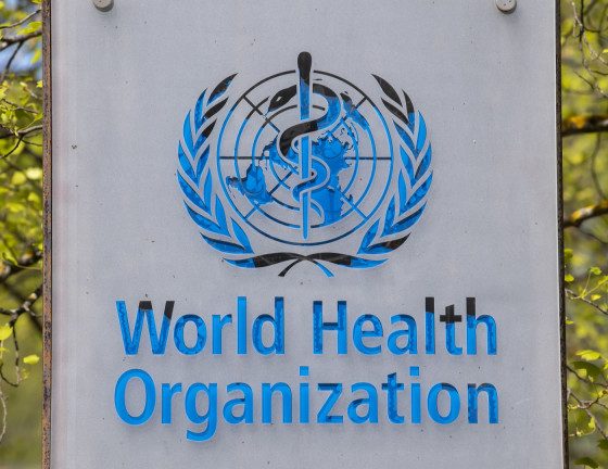 Настоящият взрив на хепатит с неизвестен произход беше обявен на 5 април, когато Обединеното кралство уведоми СЗО за 10 случая