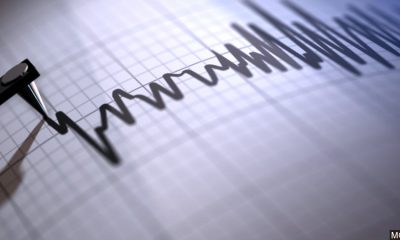 Силно земетресение в Турция е усетено и в България. Има ли опасност от трусове в страната?
