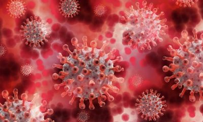 Направиха връзка между тежкия коронавирус и натрупването на протеин в кръвта