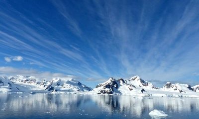 на Антарктида е застрашено от изчезване