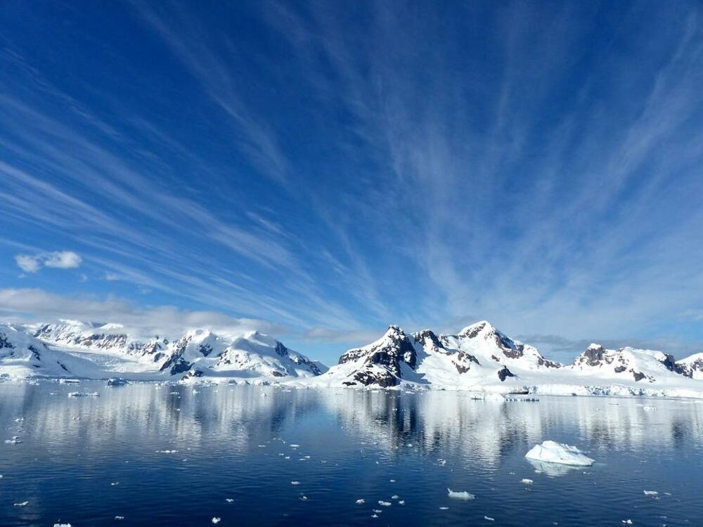 на Антарктида е застрашено от изчезване