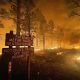 Огнеборците очакват разрастване на горските пожари в Аризона