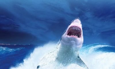 Голямата бяла акула ли ни е спасила от най-страховитото чудовище на планетата?
