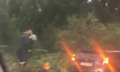 Бурята събори дърво върху автомобил