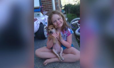 Клои от Кентъки спаси кучето си Санди от удавяне, скрито в чекмедже
