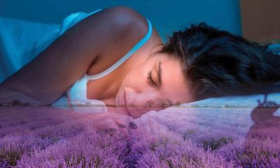 Качественият сън прочиства мозъка от токсини, пази и от много болести