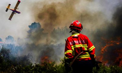 Югозападна Европа се задъхва от горски пожари