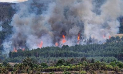 Борбата с пожара край Елшица още продължава