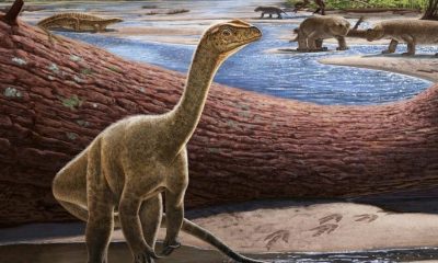 В Зимбабве откриха динозавър на над 200 млн. години