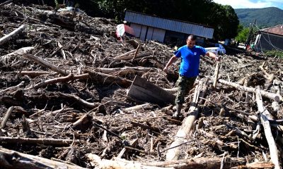10 000 кубика дърва е отнесла стихията от сечищата в Средна гора