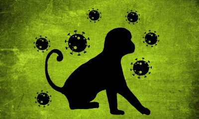 Проучване: Маймунската шарка може да причини енцефалит и гърчове
