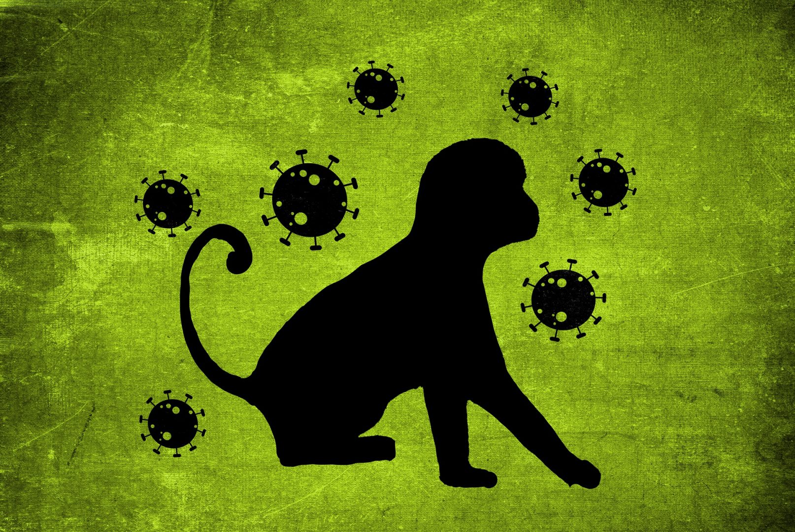 Проучване: Маймунската шарка може да причини енцефалит и гърчове