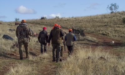 Над 100 000 български ловци: Европа ни оставя без пушки
