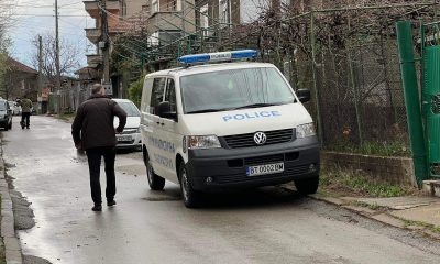 В Перник застреляха куче, разхождано от стопанина си