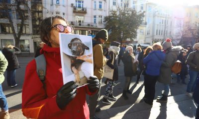 Задържаният за насилието над кучето Мечо Захари Шулев остава в ареста