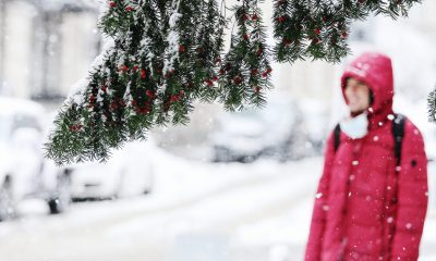 Ще има ли сняг за Коледа в България?