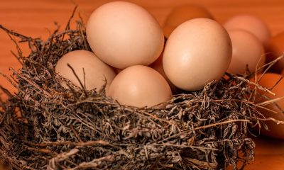 Яйцата скочиха с цели 30% за една година