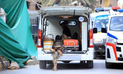 Експлозия в джамия в Пакистан: Десетки жервти и ранени (ВИДЕО)