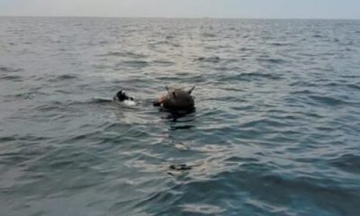 Мина изплува край Тюленово