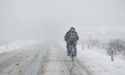 Времето в България: Дъждовете преминават в сняг в събота