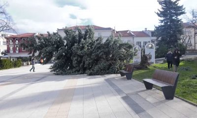 Бурен вятър удари почти цяла България (ОБЗОР, ВИДЕО)