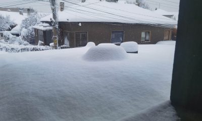 Най-голяма е снежната покривка в Лом - 29 см (СНИМКИ)