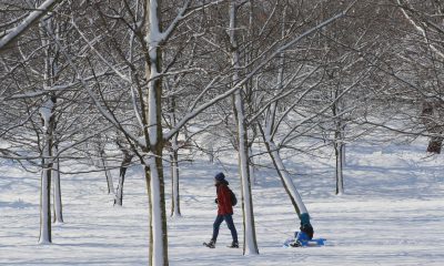 Обилни снеговалежи в Румъния: Някои части останаха без ток